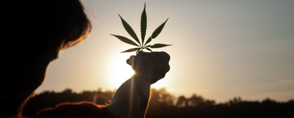 Holding ganja leaf to the sky