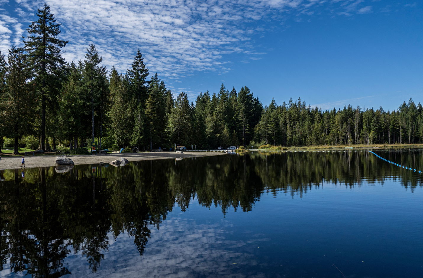 Whonnock Lake forest and lake