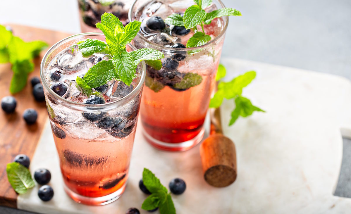 blueberry fizz cocktail