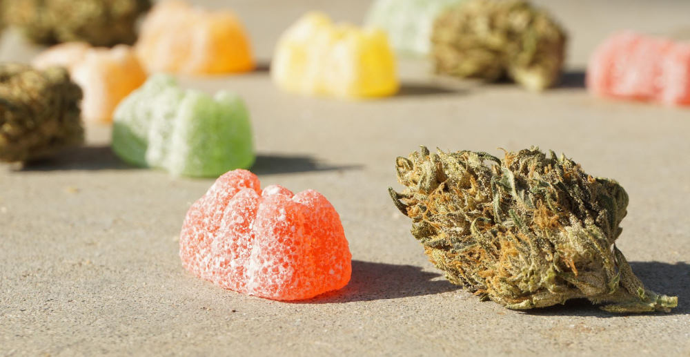 dried cannabis and gummies