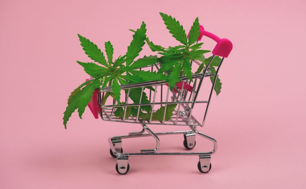 Buying Cannabis Online vs. In-Person